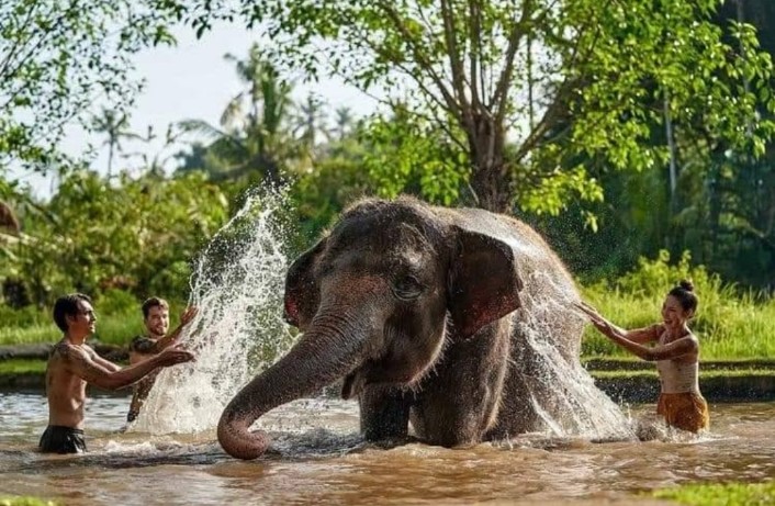 Elephant experience Bali
