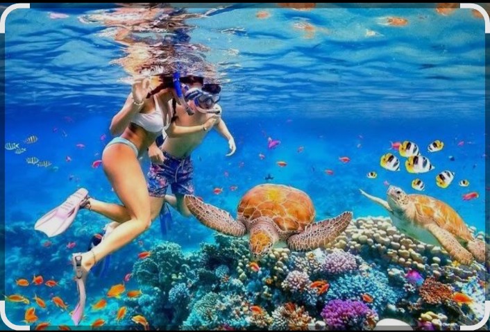 Snorkeling in Bali