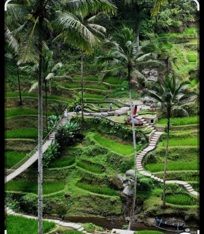 Central Bali nature and culture private tour