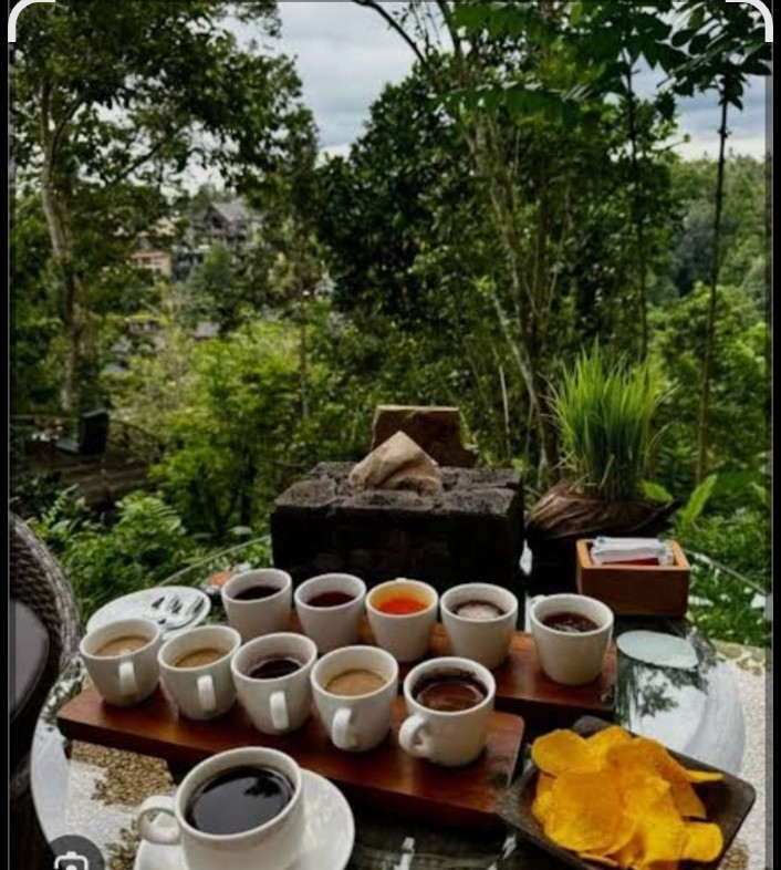 Bali coffee plantation experience